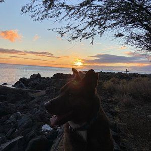 Meet your Posher, Juliette